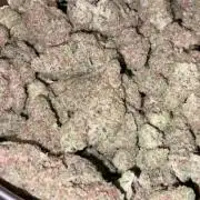 Lets Test some Strains