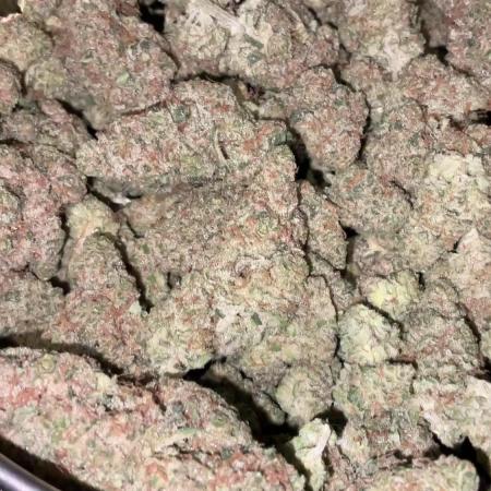 Lets Test some Strains