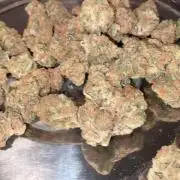 Fullgas vs Exodus Cheese