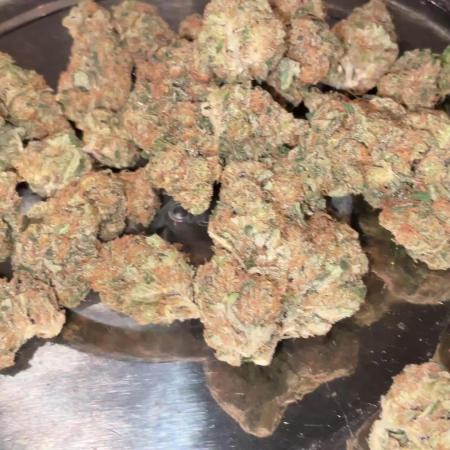 Fullgas vs Exodus Cheese