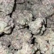 Lets Test some Strains