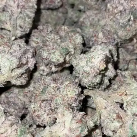 Lets Test some Strains