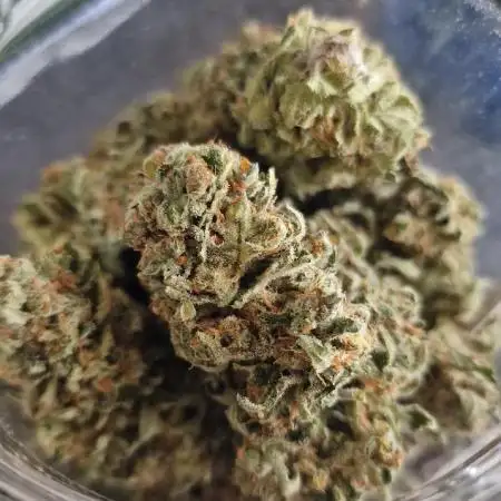 First indoor grow, second overall