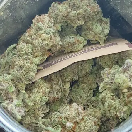 First indoor grow, second overall