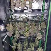 Durchlauf #2 | 3x Fastbuds