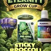 Eternity GrowCup 2026