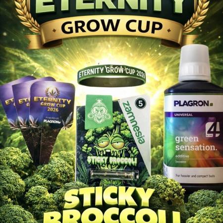 Eternity GrowCup 2026