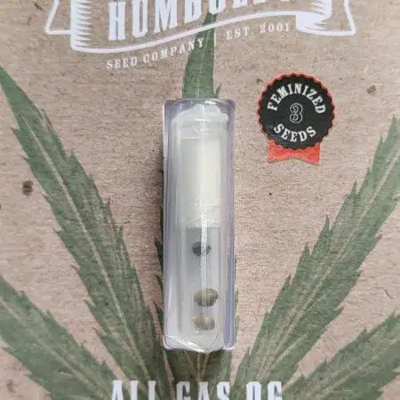 Humboldt Seed Company All Gas OG
