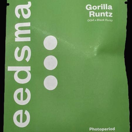 Gorilla Runtz - Living Soil