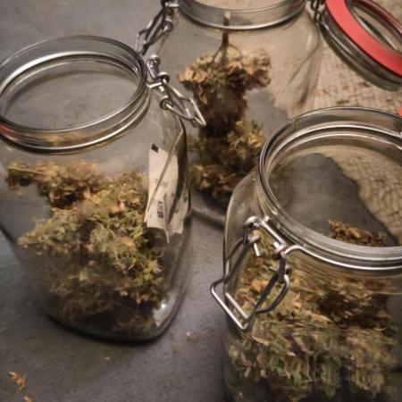 Pound Cake Auto - Fast Buds