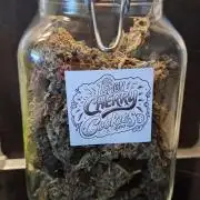 FB Lemon Cherry Cookies Auto in 40x40