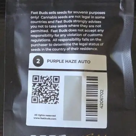 FB420 Purple Haze Automatic in 40x40
