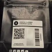 FB Lemon Cherry Cookies Auto in 40x40