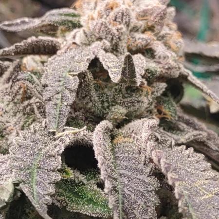 Permanent marker x endgame 3