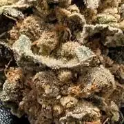 Permanent marker x endgame 3