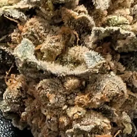 Permanent marker x endgame 3