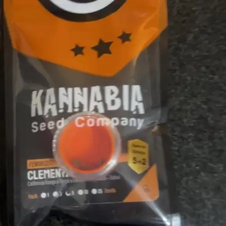 Kannabia RDWC