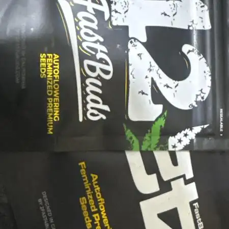Fast Buds [420] Auto Run
