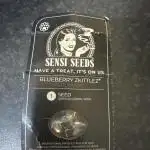 Blueberry Zkittlez [Sensi Seeds]