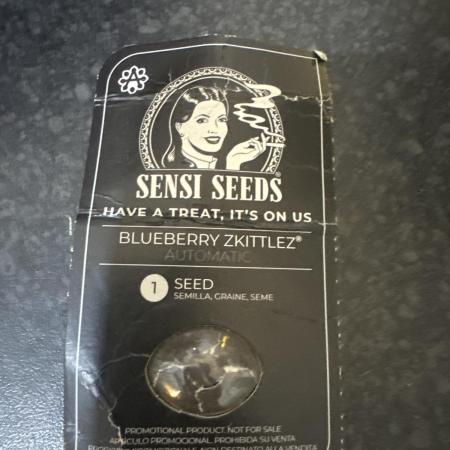 Blueberry Zkittlez [Sensi Seeds]
