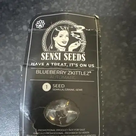 Blueberry Zkittlez [Sensi Seeds]