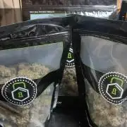 Game Over - Happy Valley Genetics