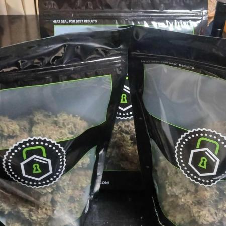 Game Over - Happy Valley Genetics