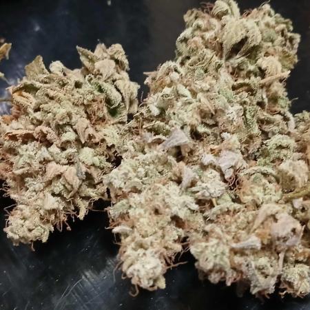 GG4 X zkittles From SeedSupreme