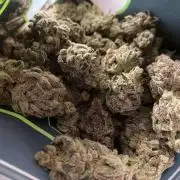 Block Monster Run II