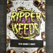 Blue Runtz + Pineapple Pucker