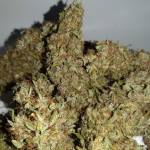 Cream Cookies