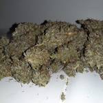 Royal Cheese Automatic