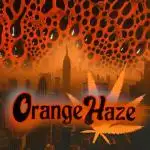 Orange Haze