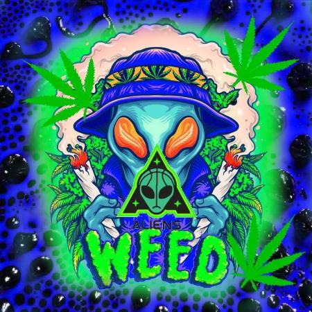 AlienzAuto