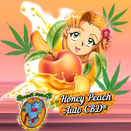 HoneyPeachAuto