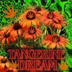 Tangerine Deam