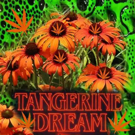Tangerine Dream