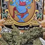 Do Sweet Dos