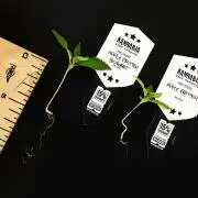 Apple Fritter BioBoost vs Apple Fritter