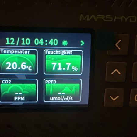 Black Runtz & MilkyWay - Eng/Ger