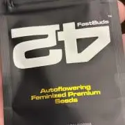 Banana purple punch auto 40L grow