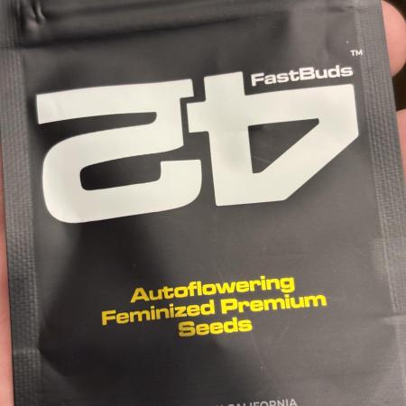 Banana purple punch auto 40L grow