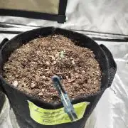 BPPRF3 upgrade and LCC