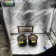 BPPRF3 upgrade and LCC