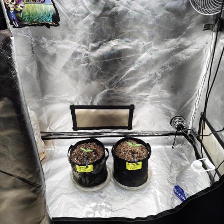 BPPRF3 upgrade and LCC