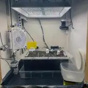 Gelato - Eigenbau-Growbox - Grow #3