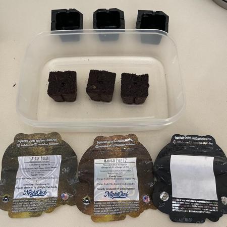 Galaxy Brain, Mango Isle, and Redball.