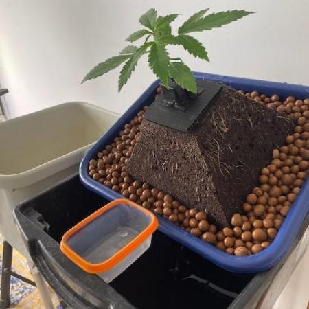 Eazyplug re-use test.