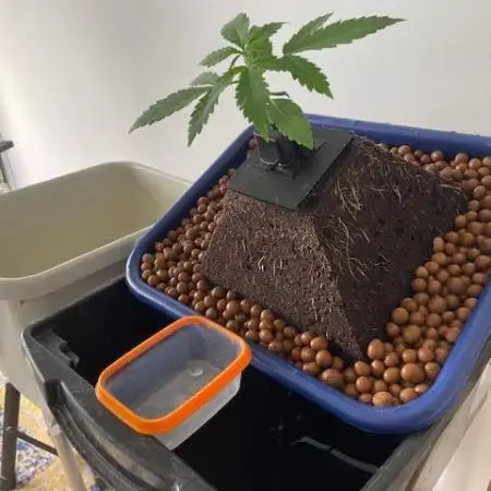 Eazyplug re-use test.