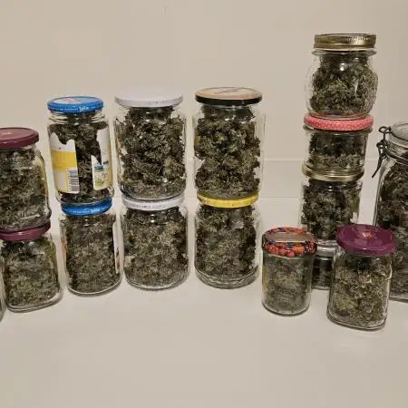 RQS Northern Light Auto Sep. 2024
